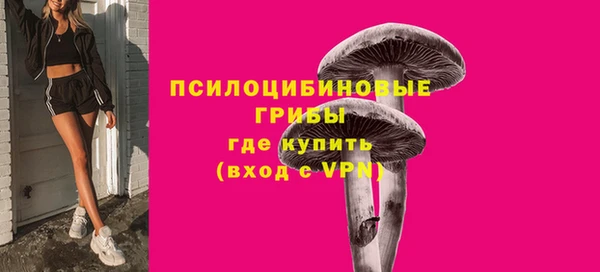 сатива Абдулино