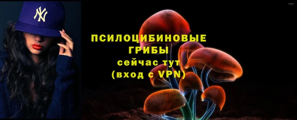 СК Абаза