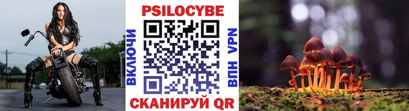 Псилоцибиновые грибы Psilocybine cubensis  цена наркотик  Алдан 